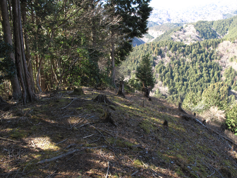 20190121hike (202)